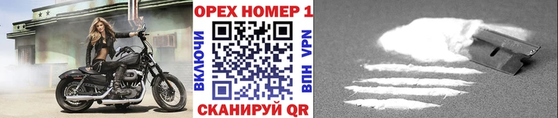 как найти закладки  Порхов  КОКАИН VHQ 
