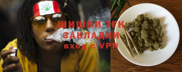 прущая мука Арсеньев