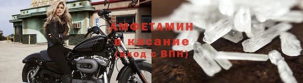 трава Сатка