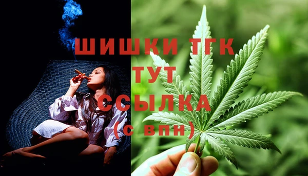 apvp Аркадак