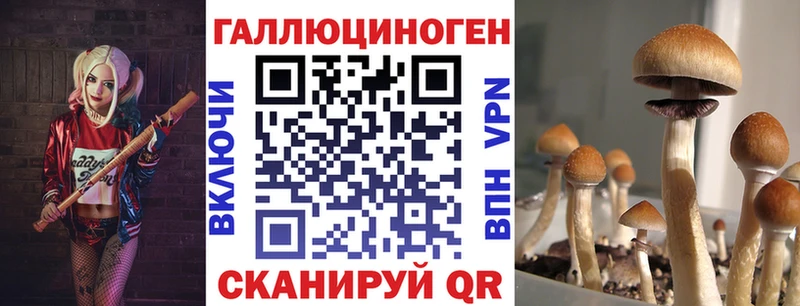 Псилоцибиновые грибы MAGIC MUSHROOMS  Порхов 